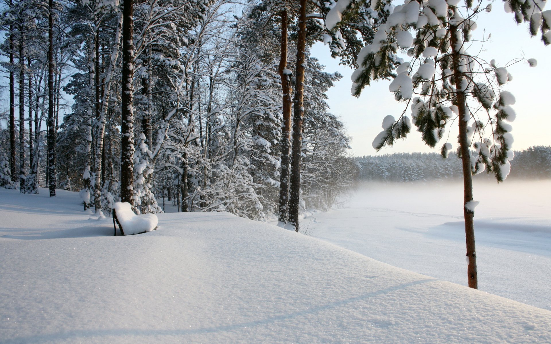 winter snow forest bench