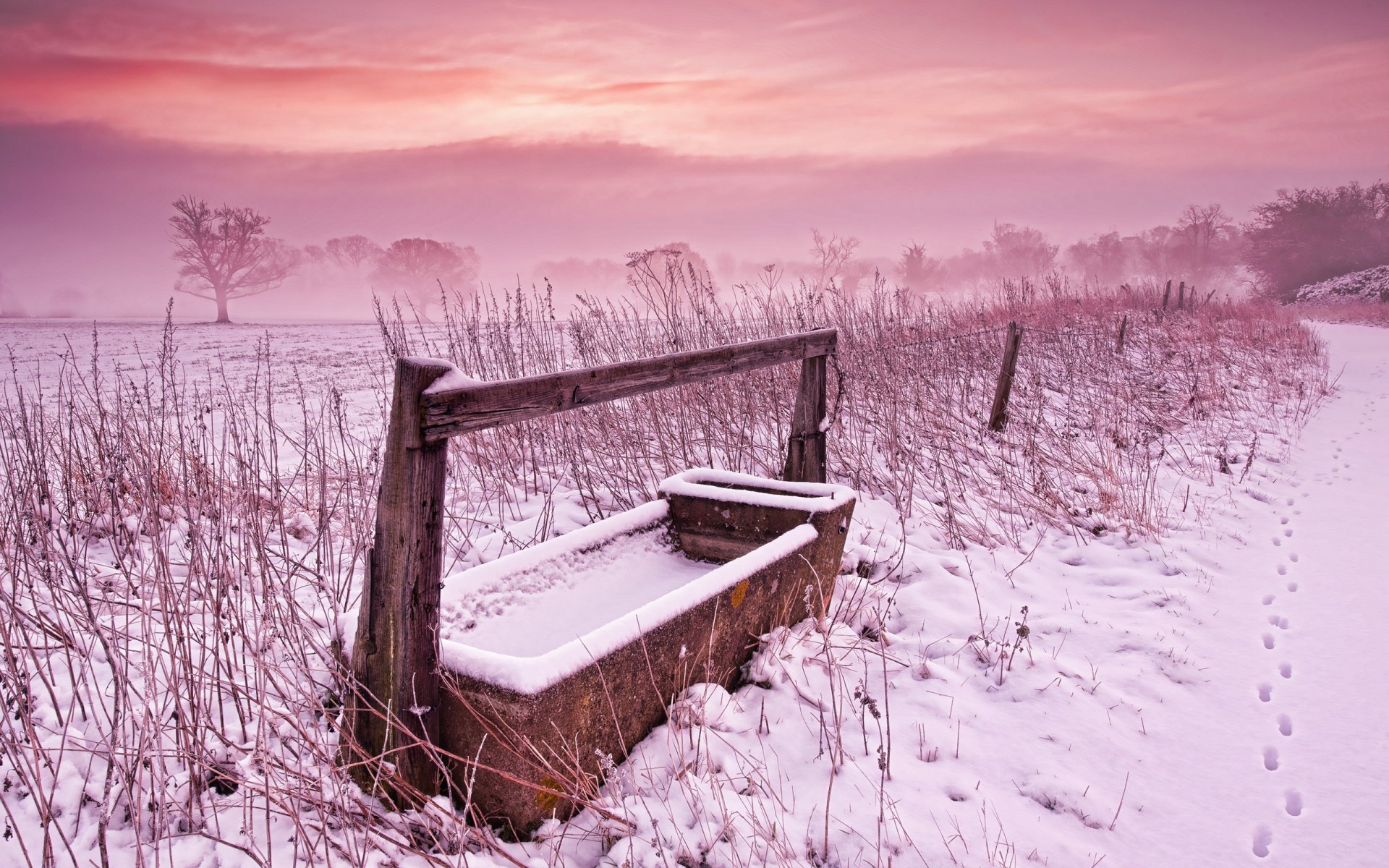 inverno campo erba neve cielo vernice