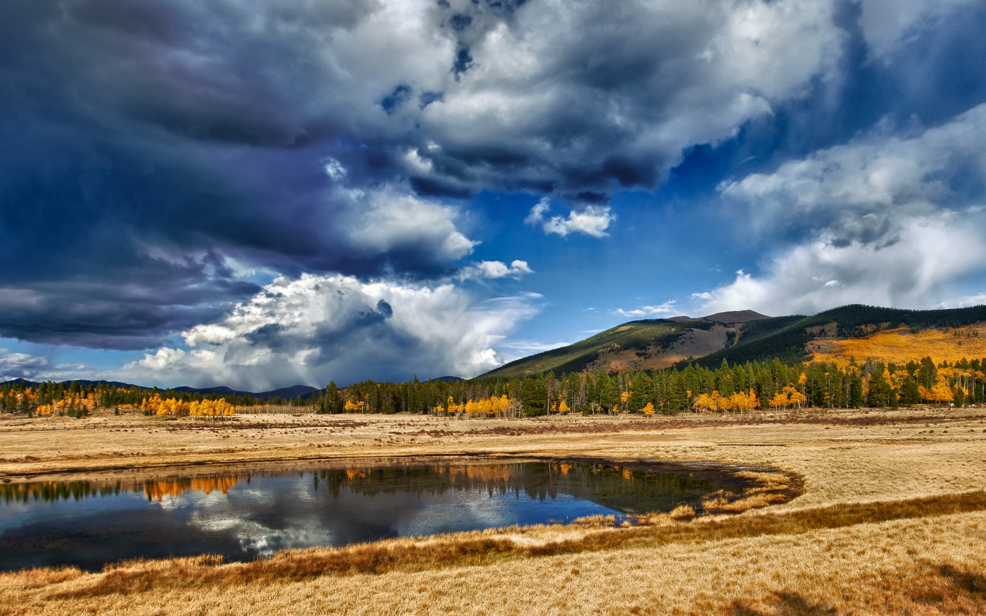 landschaft natur himmel wolken see wasser reflexion bäume gras 2560x1600