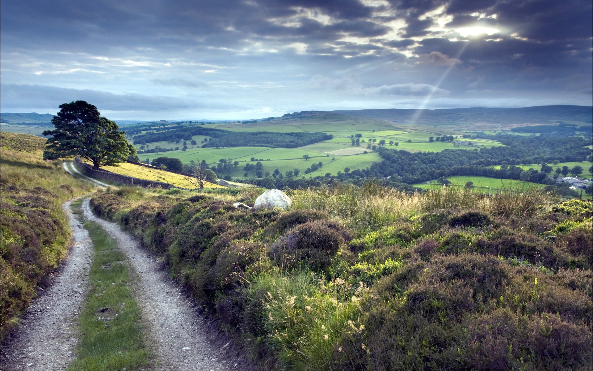 straße feld natur landschaft