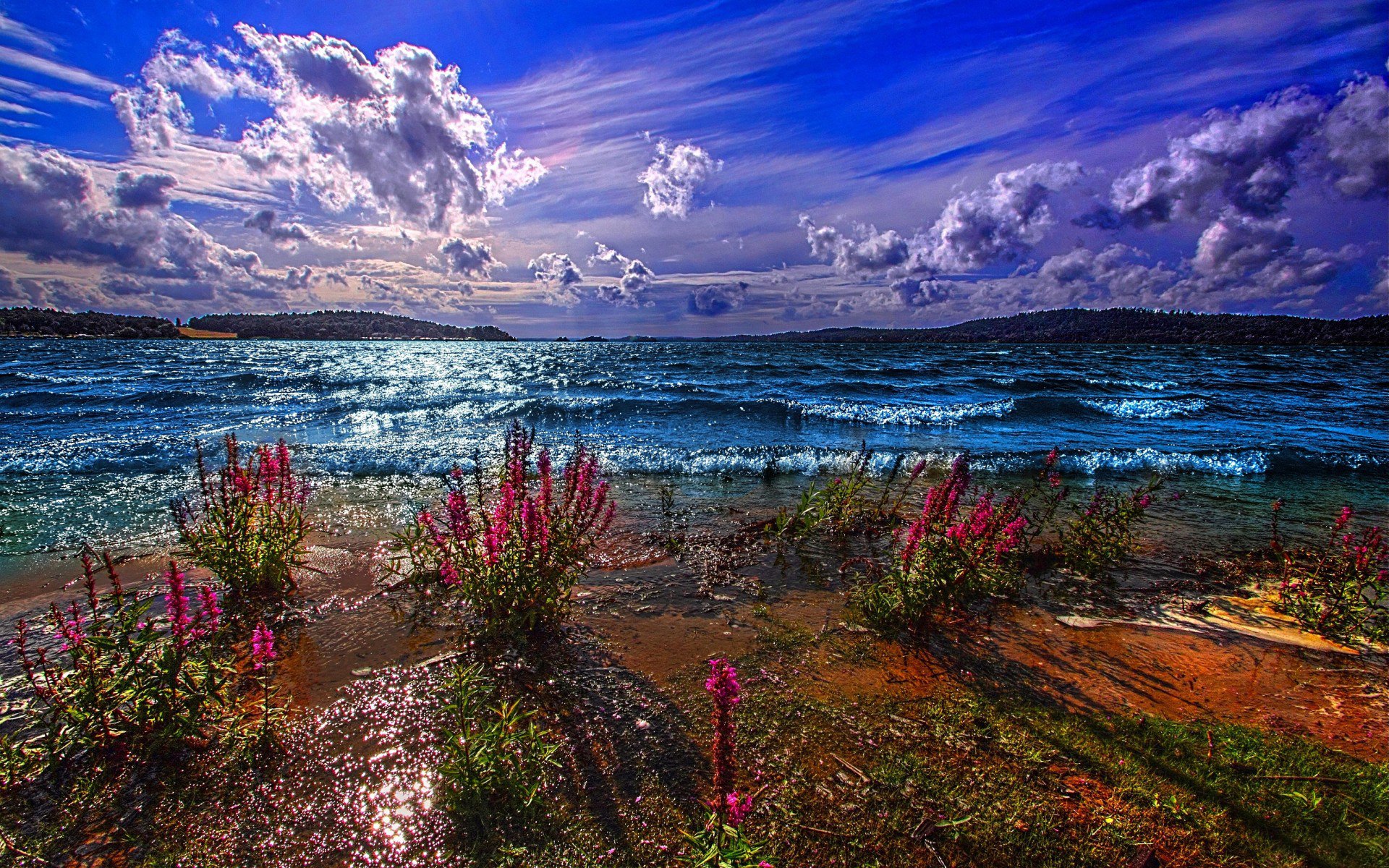 see aufregung berge ferne horizont himmel wolken ufer blumen