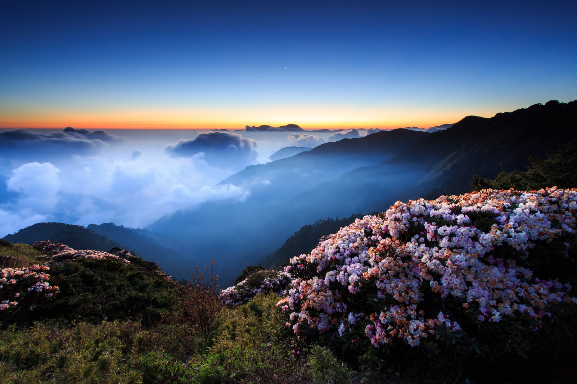 cielo noche tarde puesta de sol mañana niebla nubes montañas colinas flores