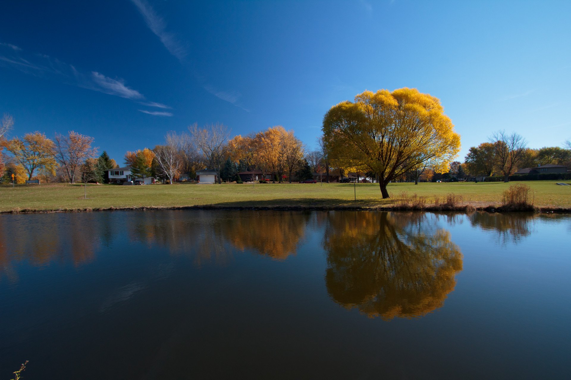 otoño árbol río cielo reflexión