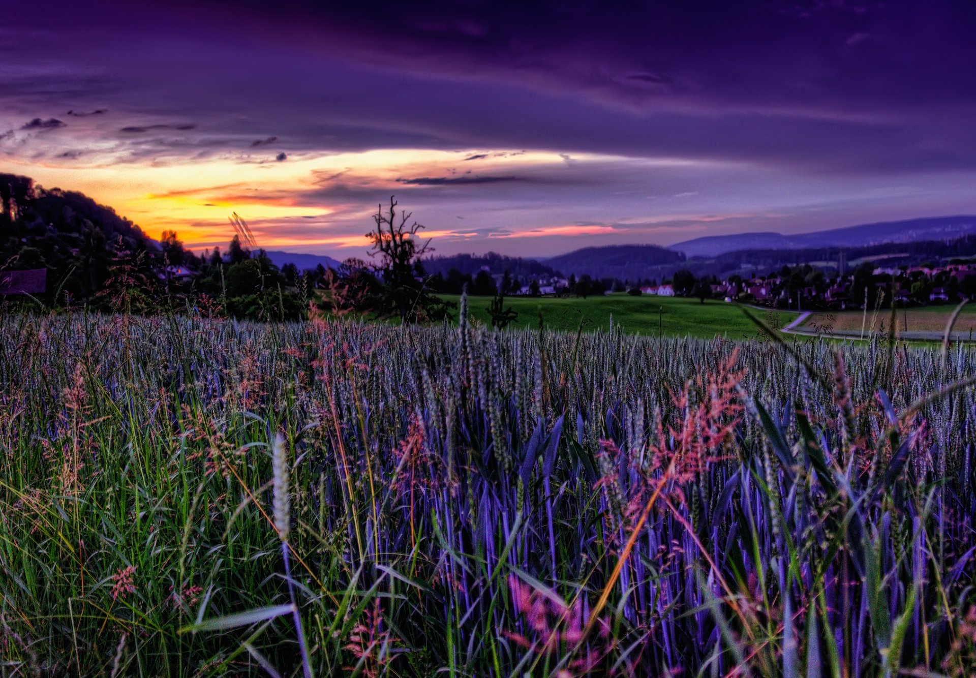 cielo campo tramonto