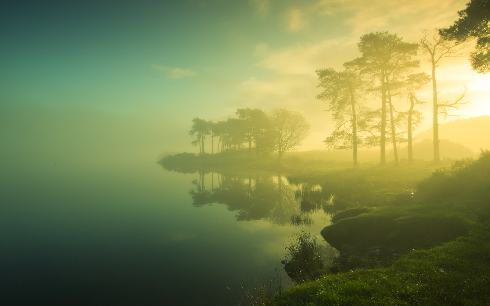 lac côte herbe arbres soleil brouillard matin