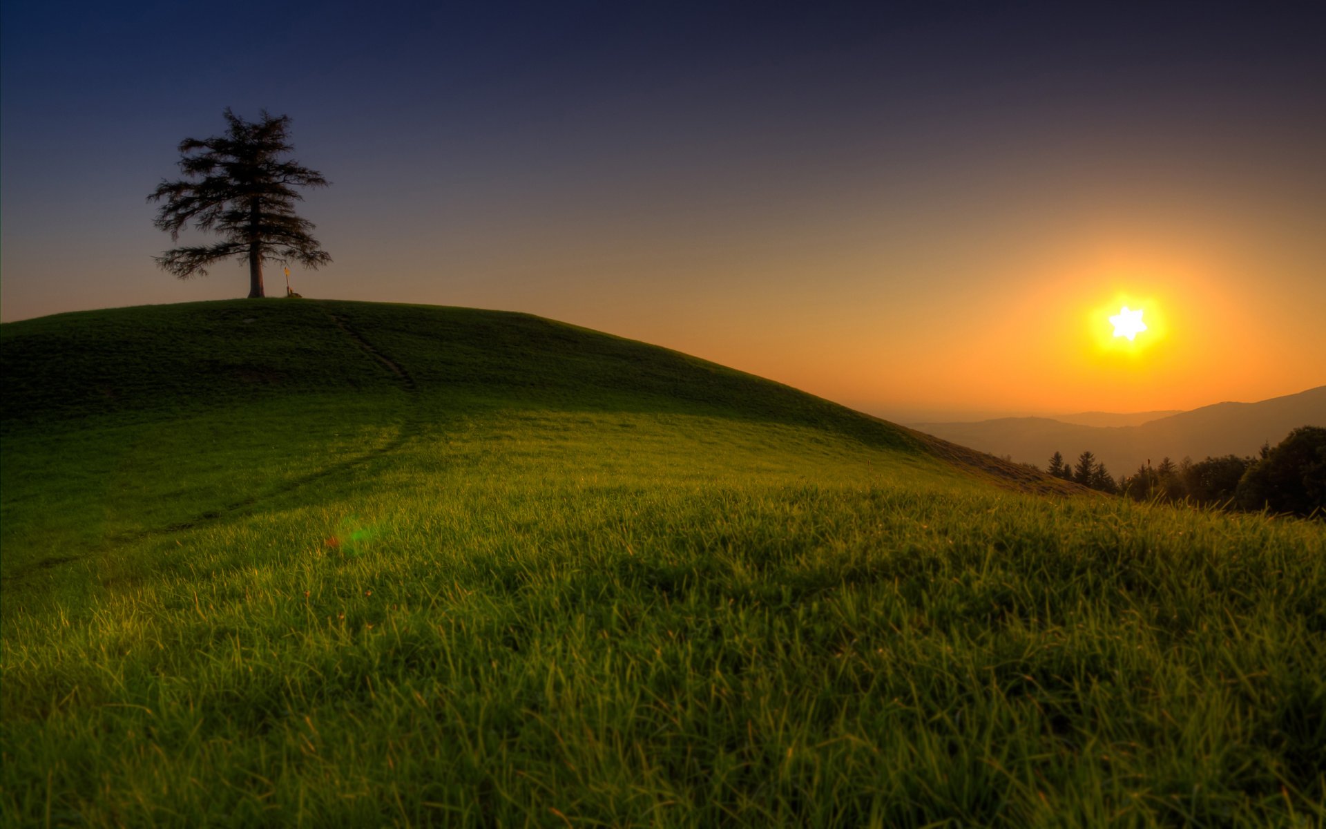 paysages nature arbre arbres herbe herbe herbe verdure collines montagnes sommets vallée soleil ciel lumière ciel beaux endroits fonds d écran avec la nature paysages fonds d écran widescreen fonds d écran widescreen