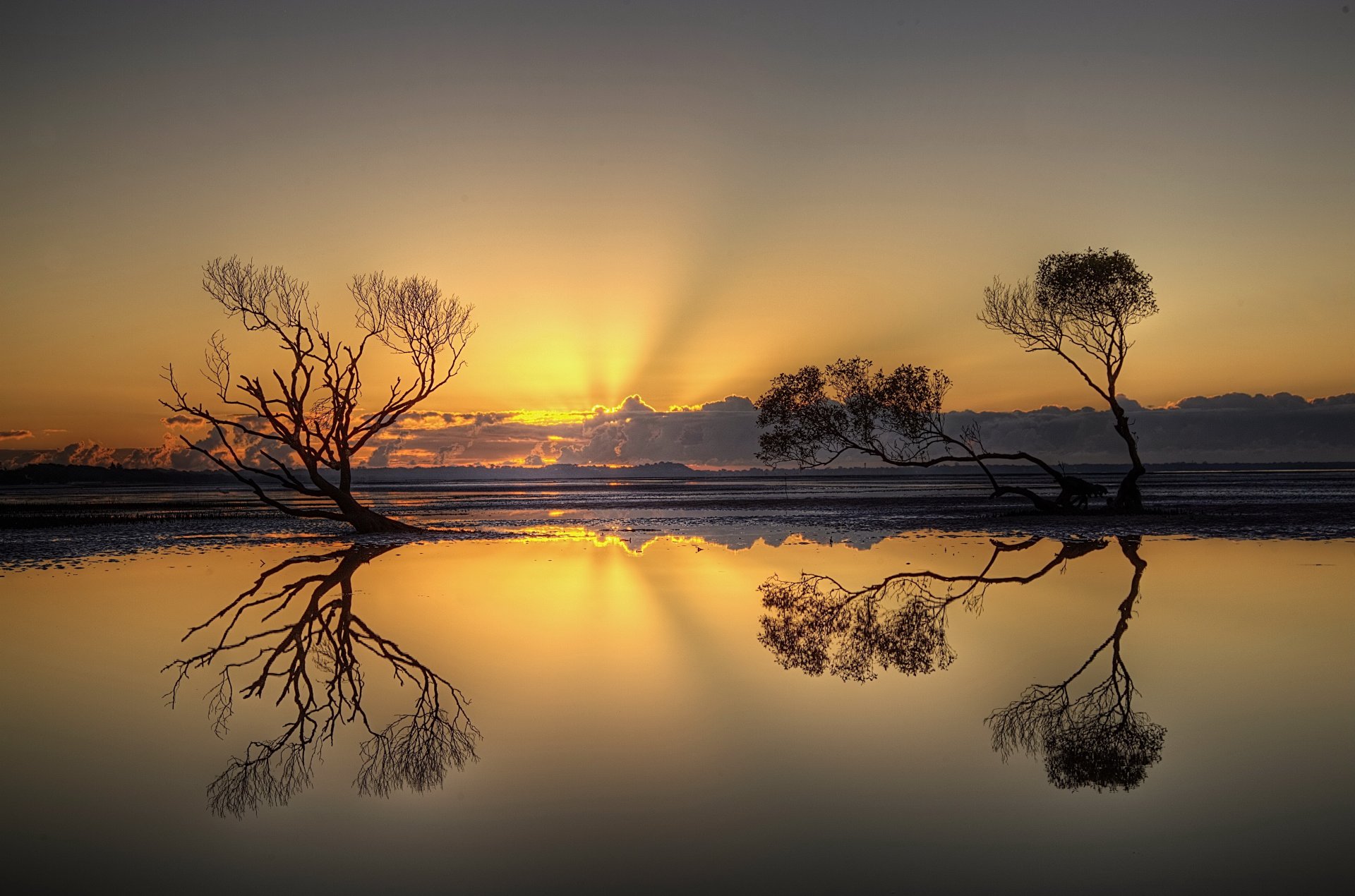 tramonto cielo alberi paesaggio