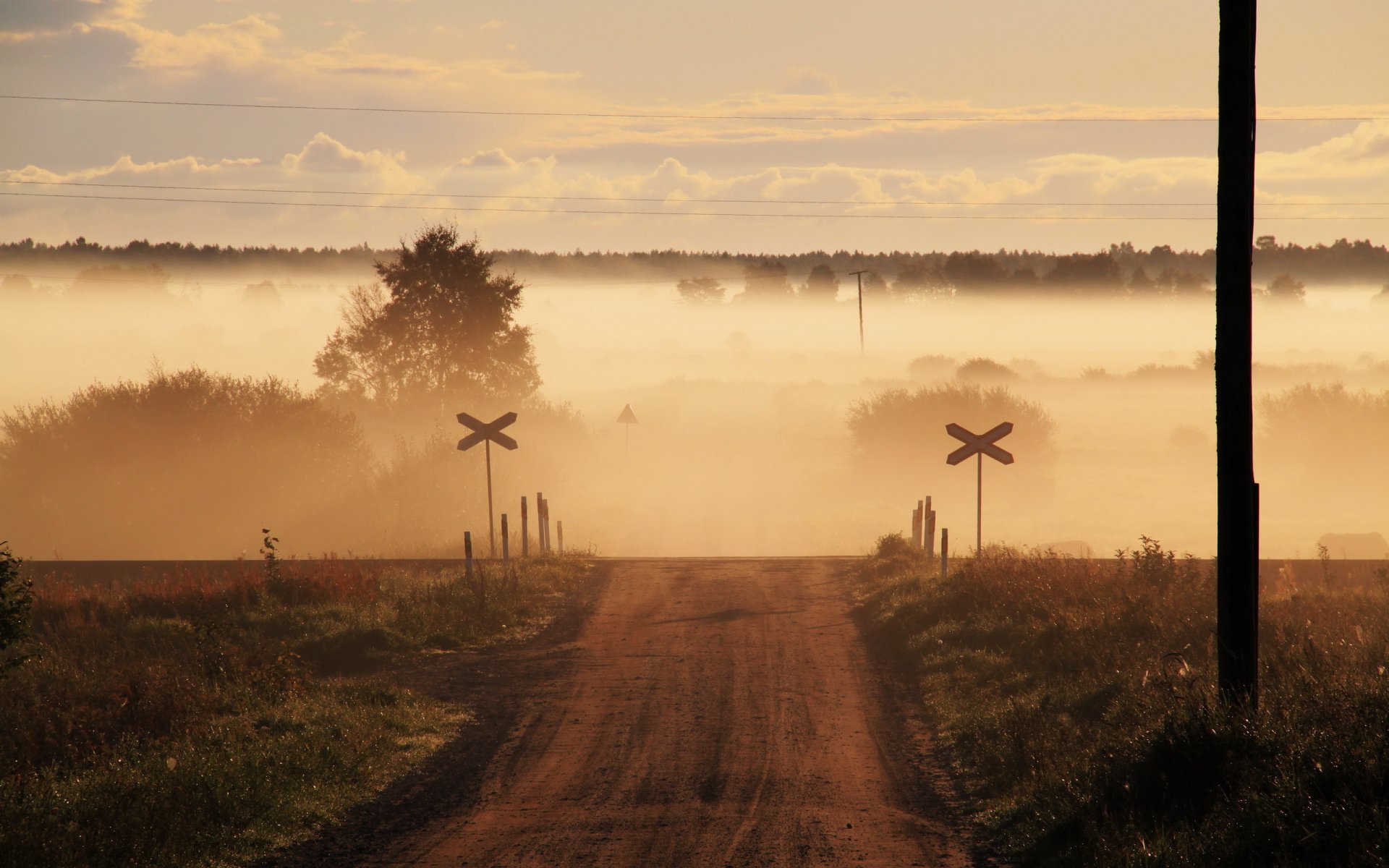 carretera cruce niebla campo