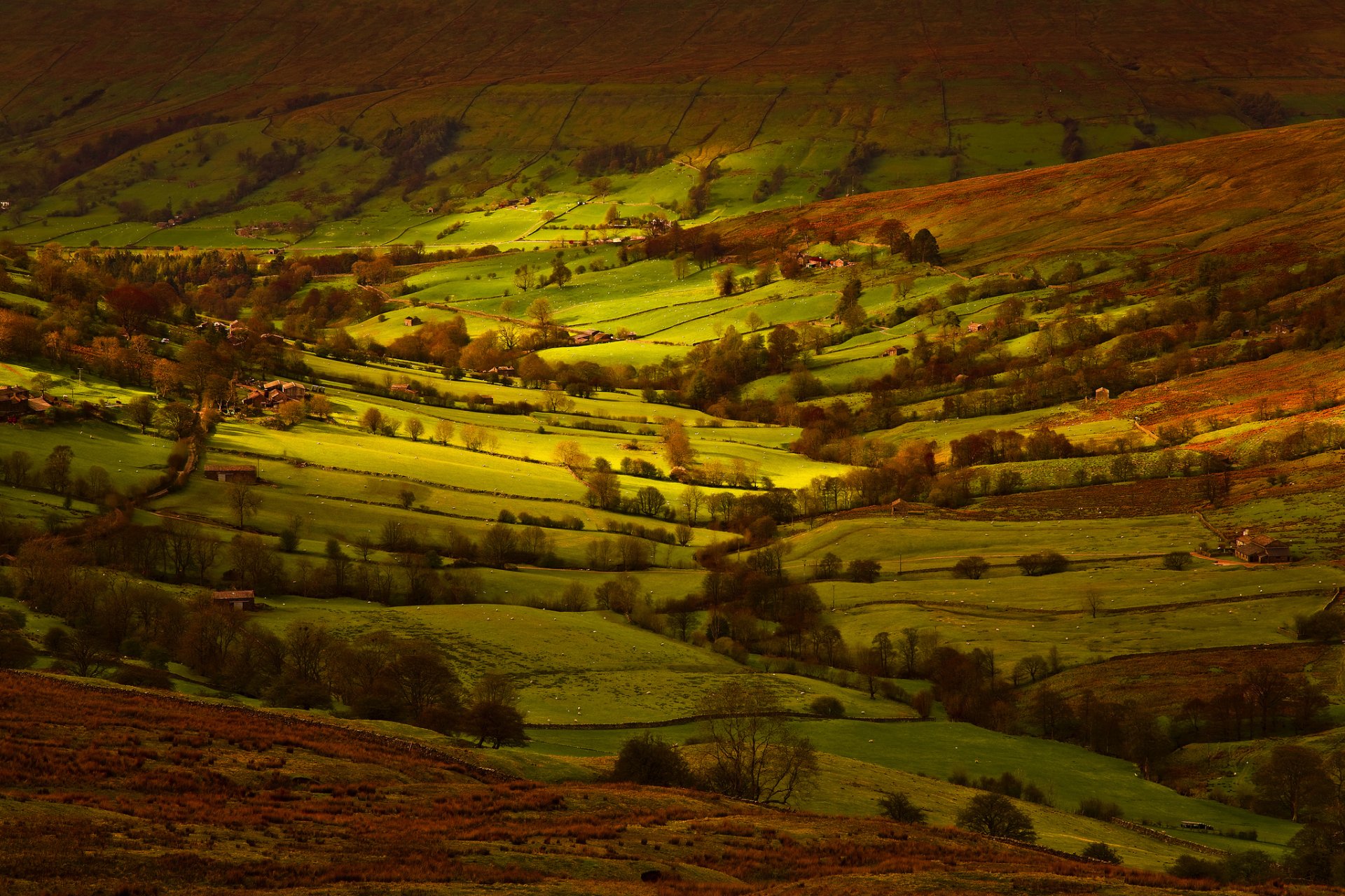 england yorkshire of the field light