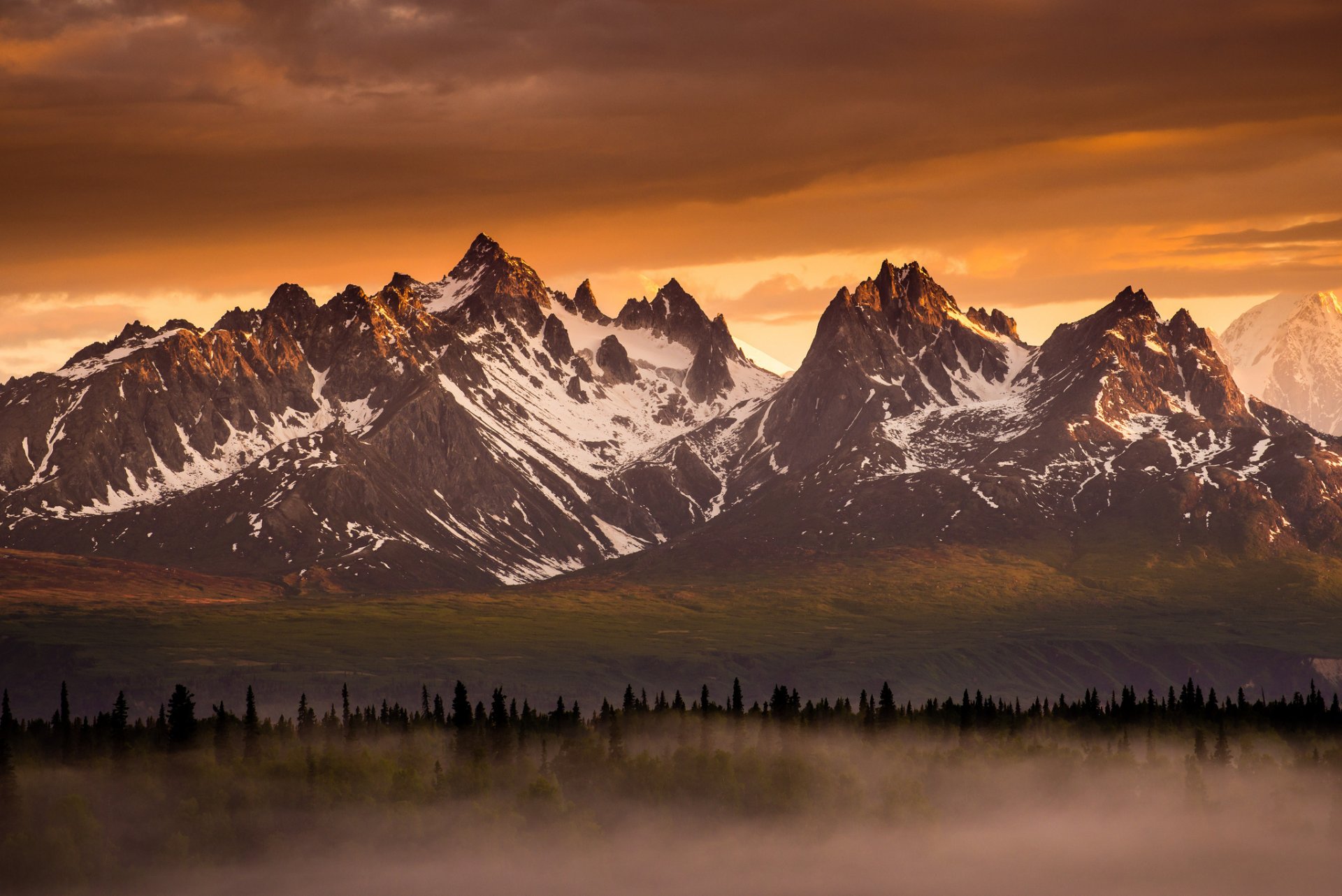 mountain forest light fog