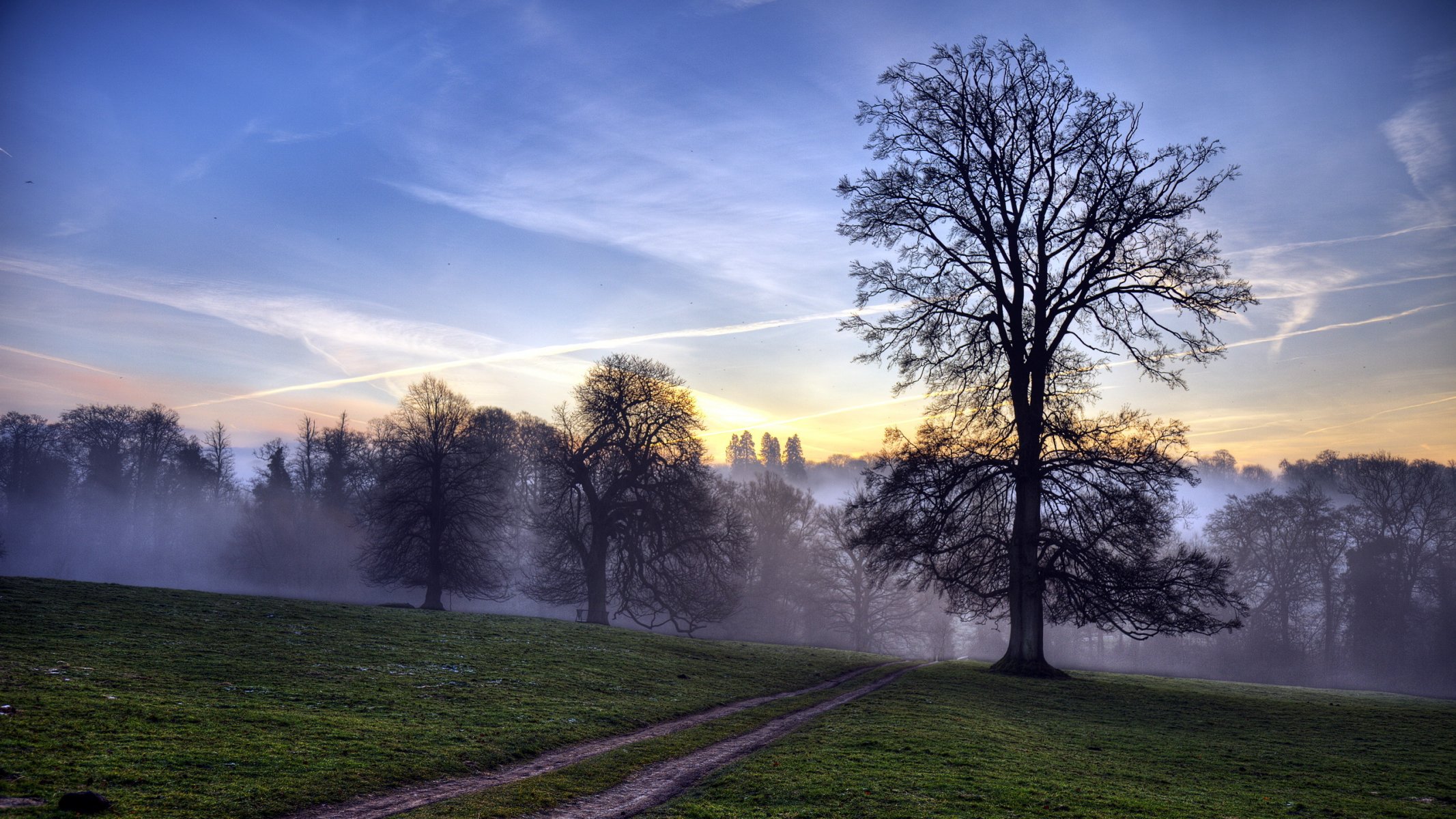 strada campo albero tramonto paesaggio