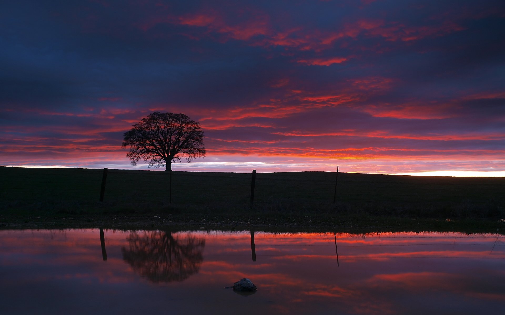 abend himmel see wasser sonnenuntergang baum