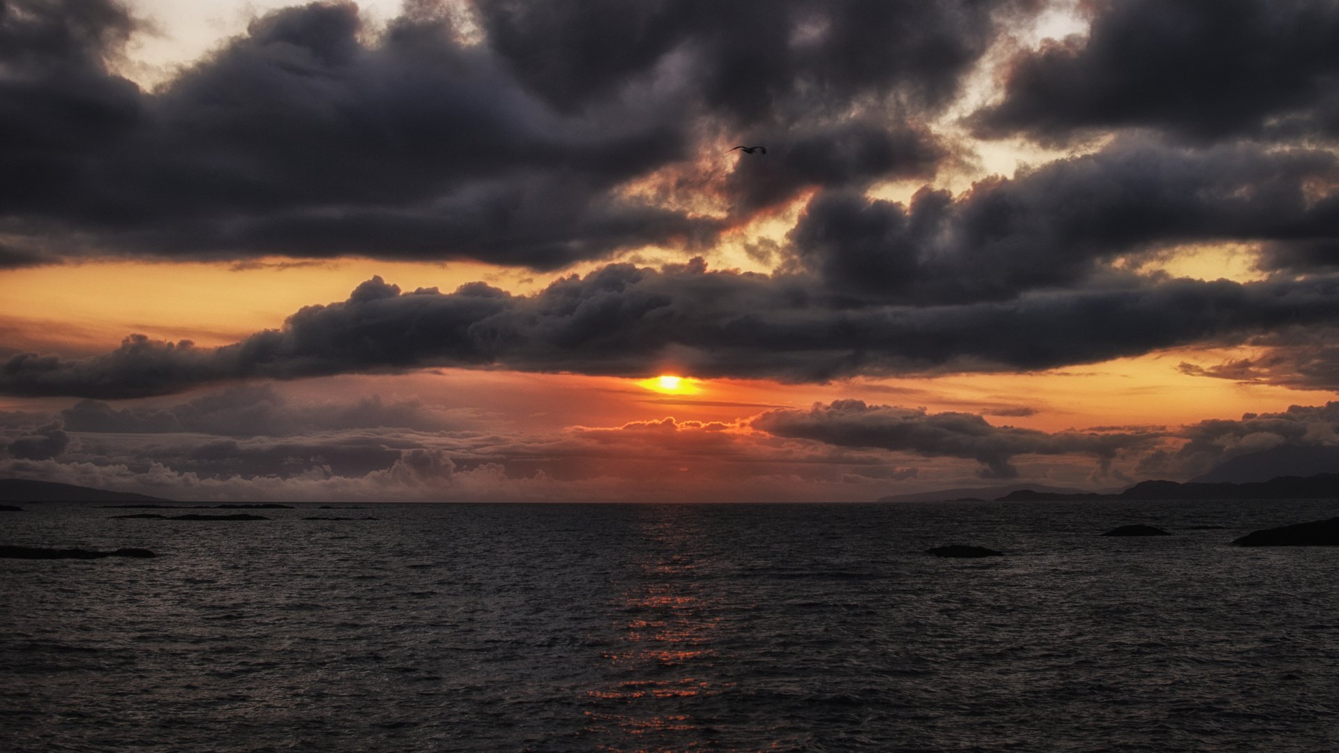 noche cielo nubes sol naranja puesta de sol pájaro vuelo mar océano bahía