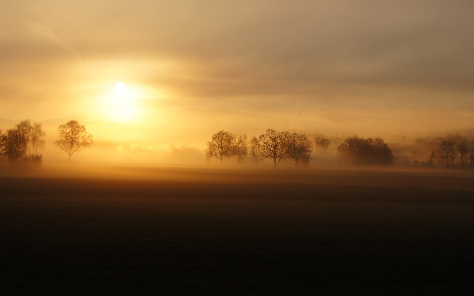 campo niebla puesta de sol paisaje