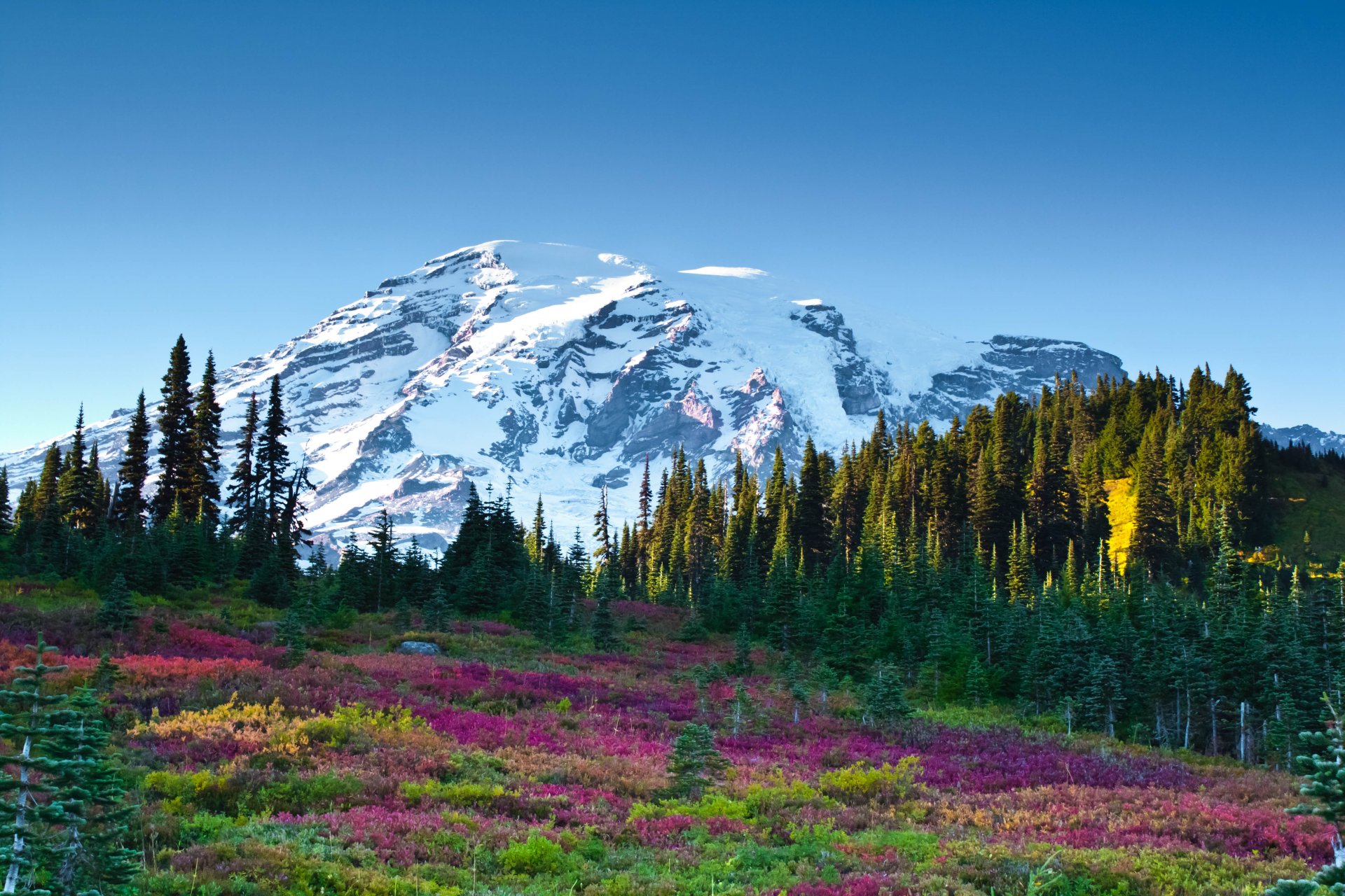 berg himmel blumen wald