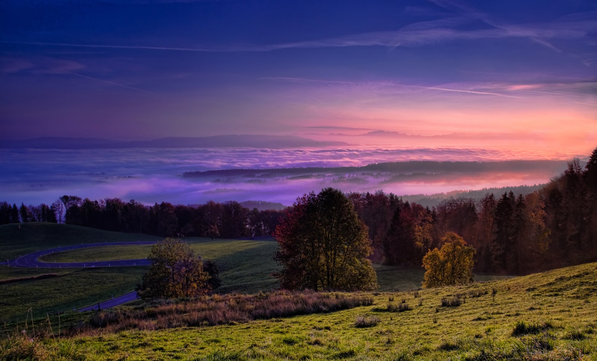 valley forest sky fog