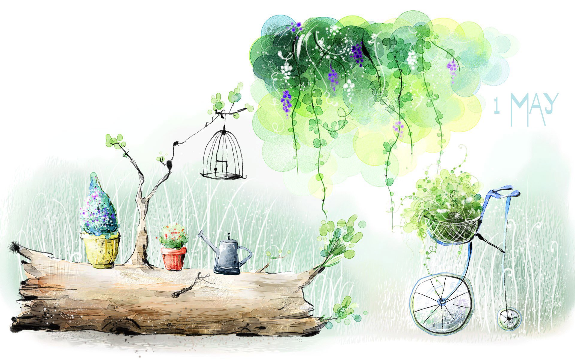 verdure nature plantes dessin aquarelle mai