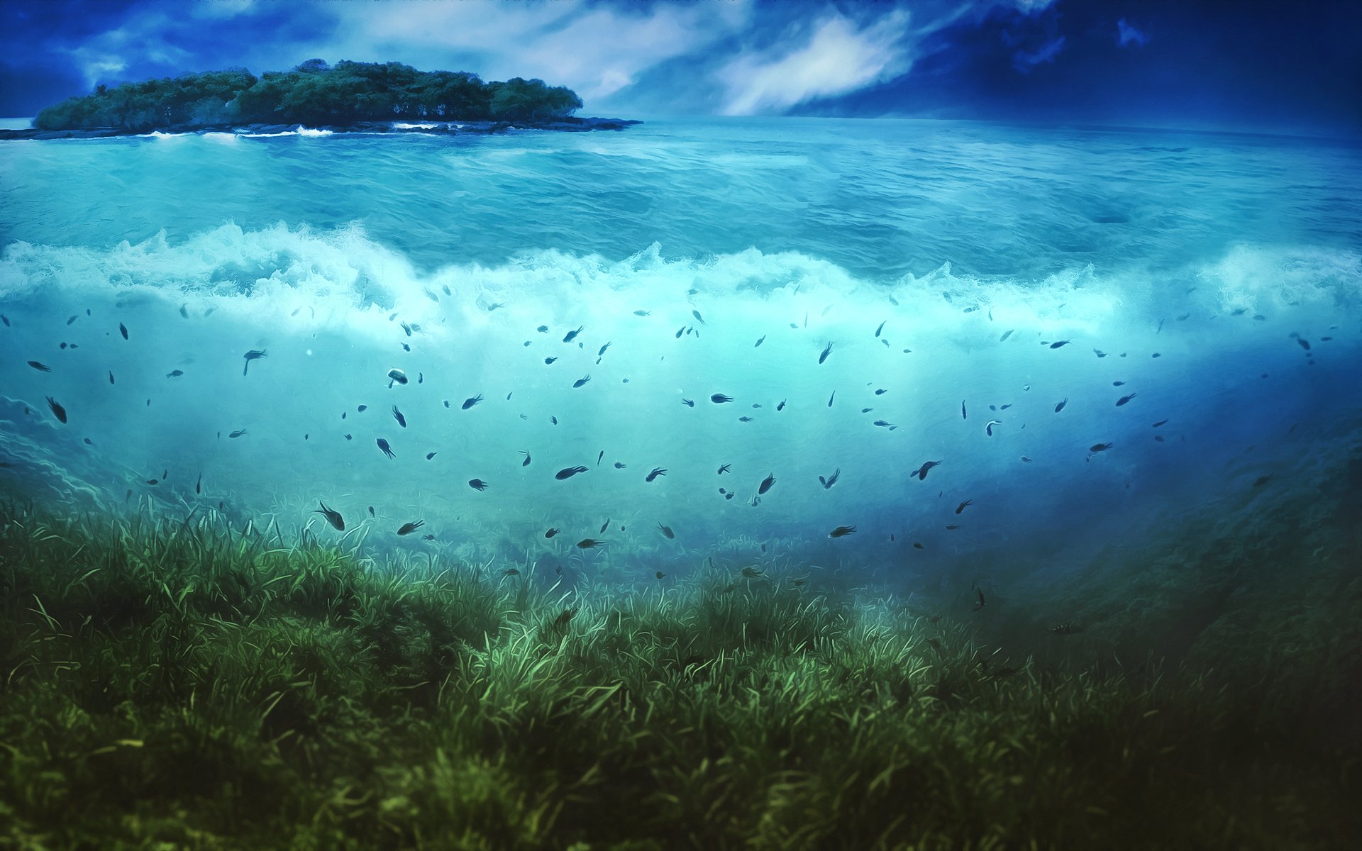 agua isla vegetación peces cielo nubes