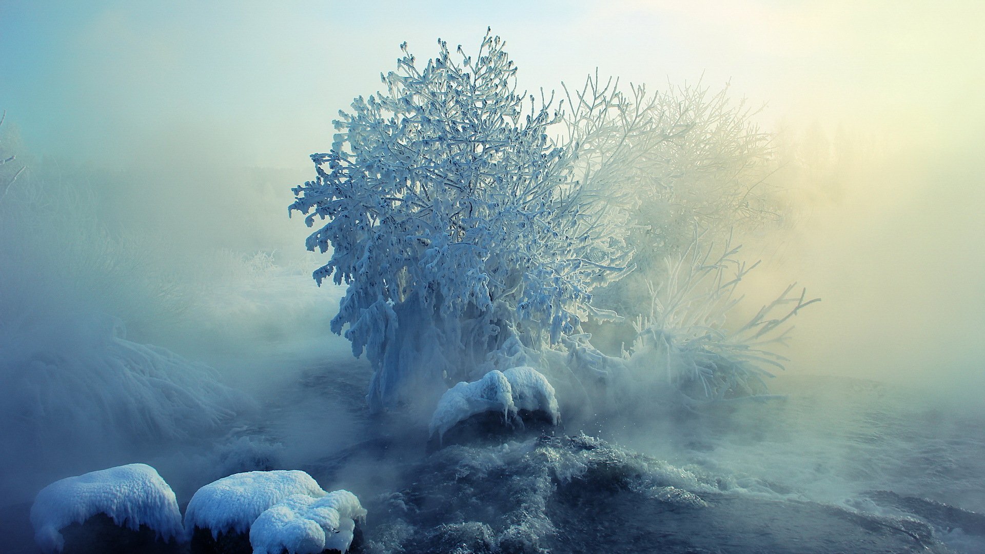 winter fog snow landscape nature