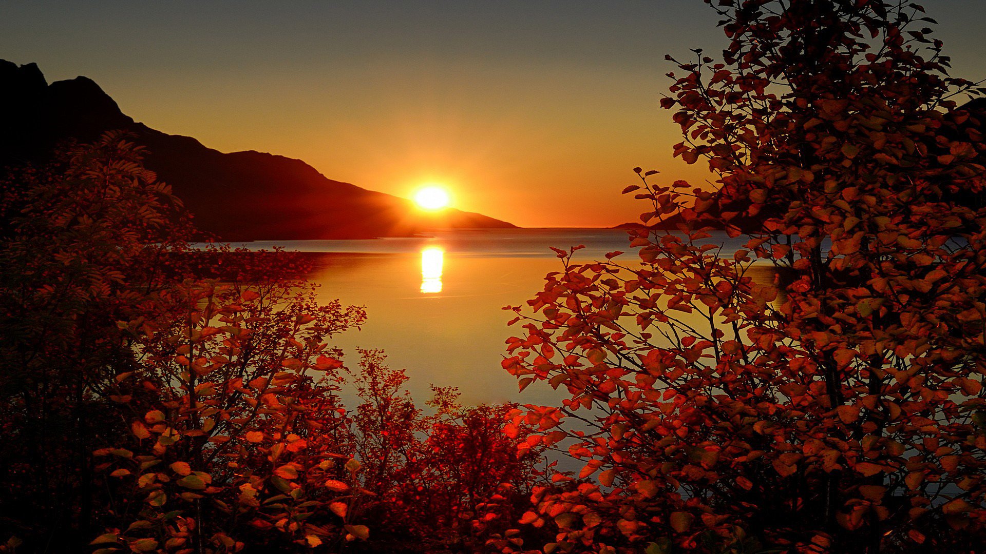 meer berge zweige blätter herbst laub himmel sonne licht strahlen sonnenuntergang