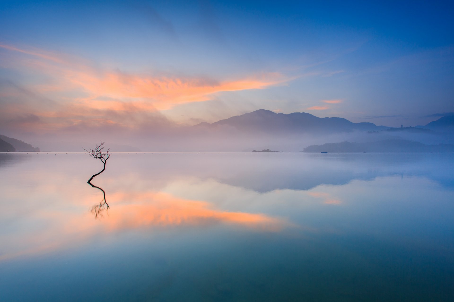 mattina montagna lago vapore nebbia albero