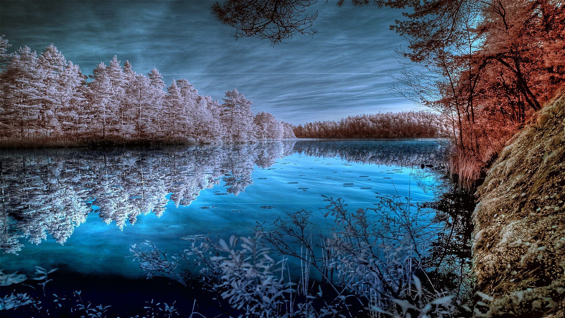 lac étang forêt arbres côte surface surface réflexion miroir ciel nuages