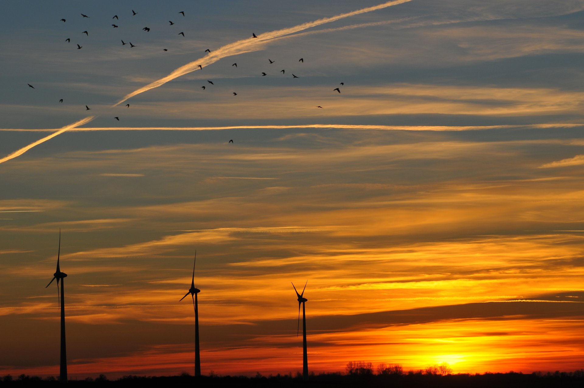 soir orange coucher de soleil soleil moulins à vent ciel nuages oiseaux