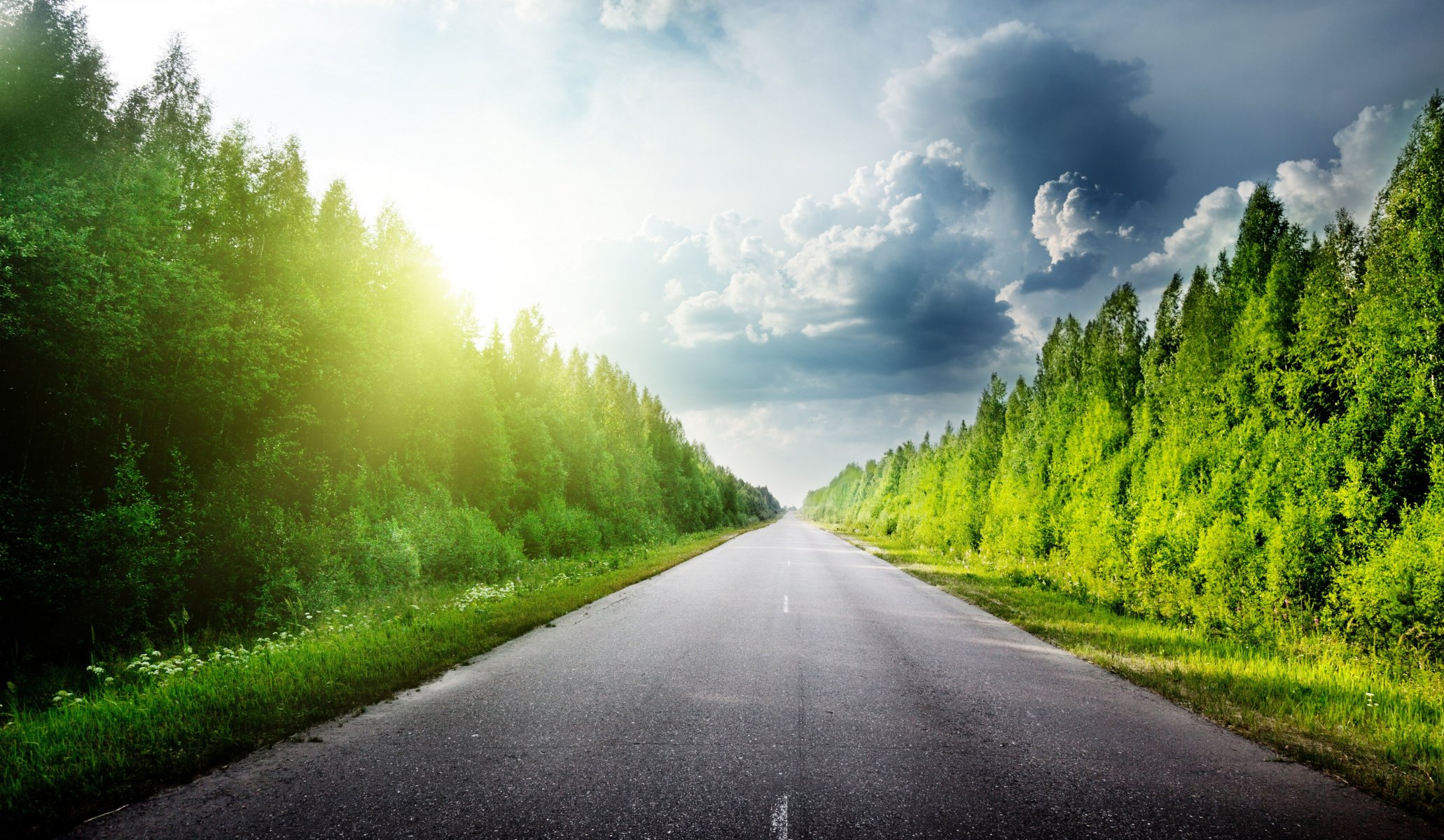 nature road asphalt sky clouds clouds forest trees gra