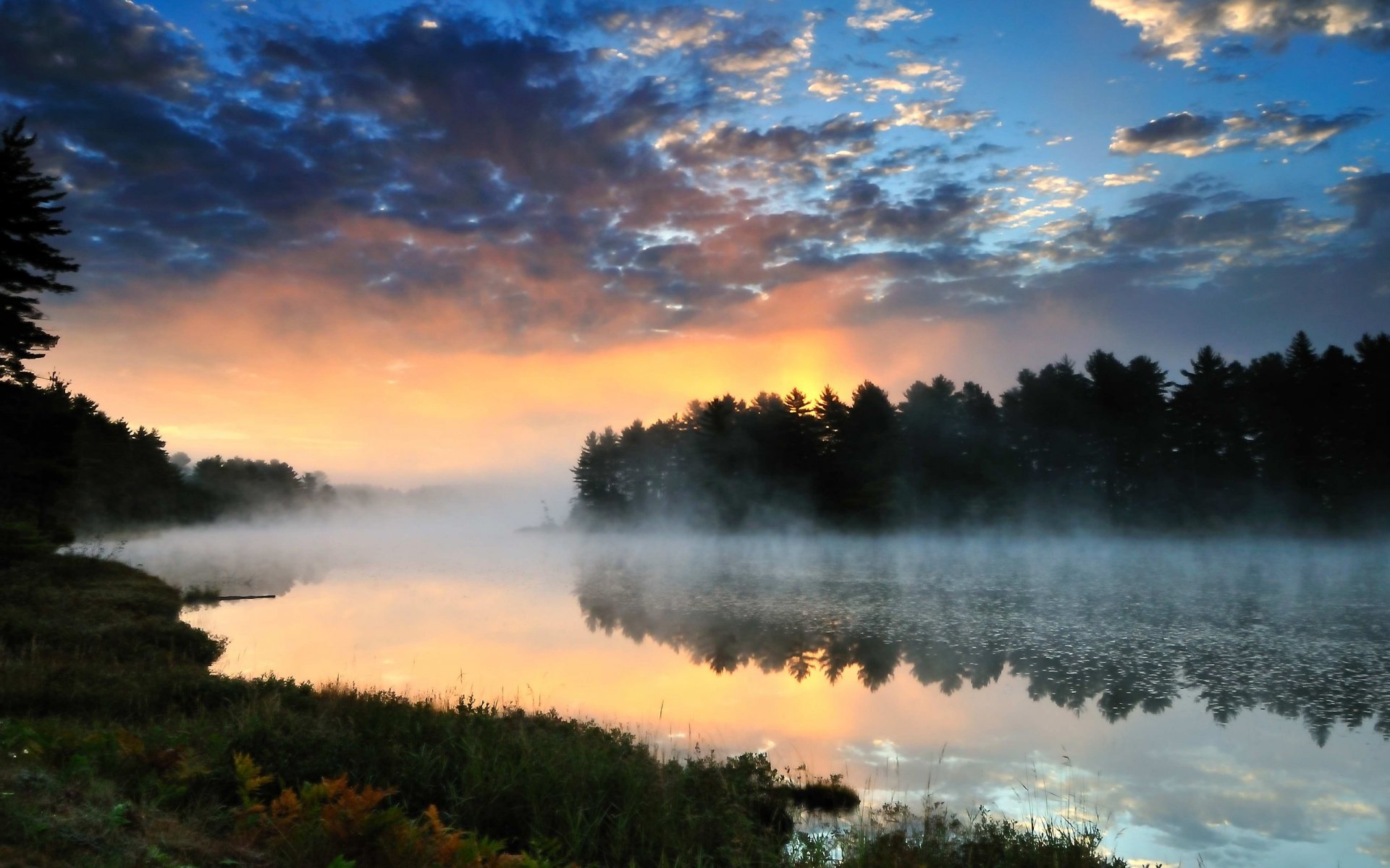 nature landscape river forest sunset