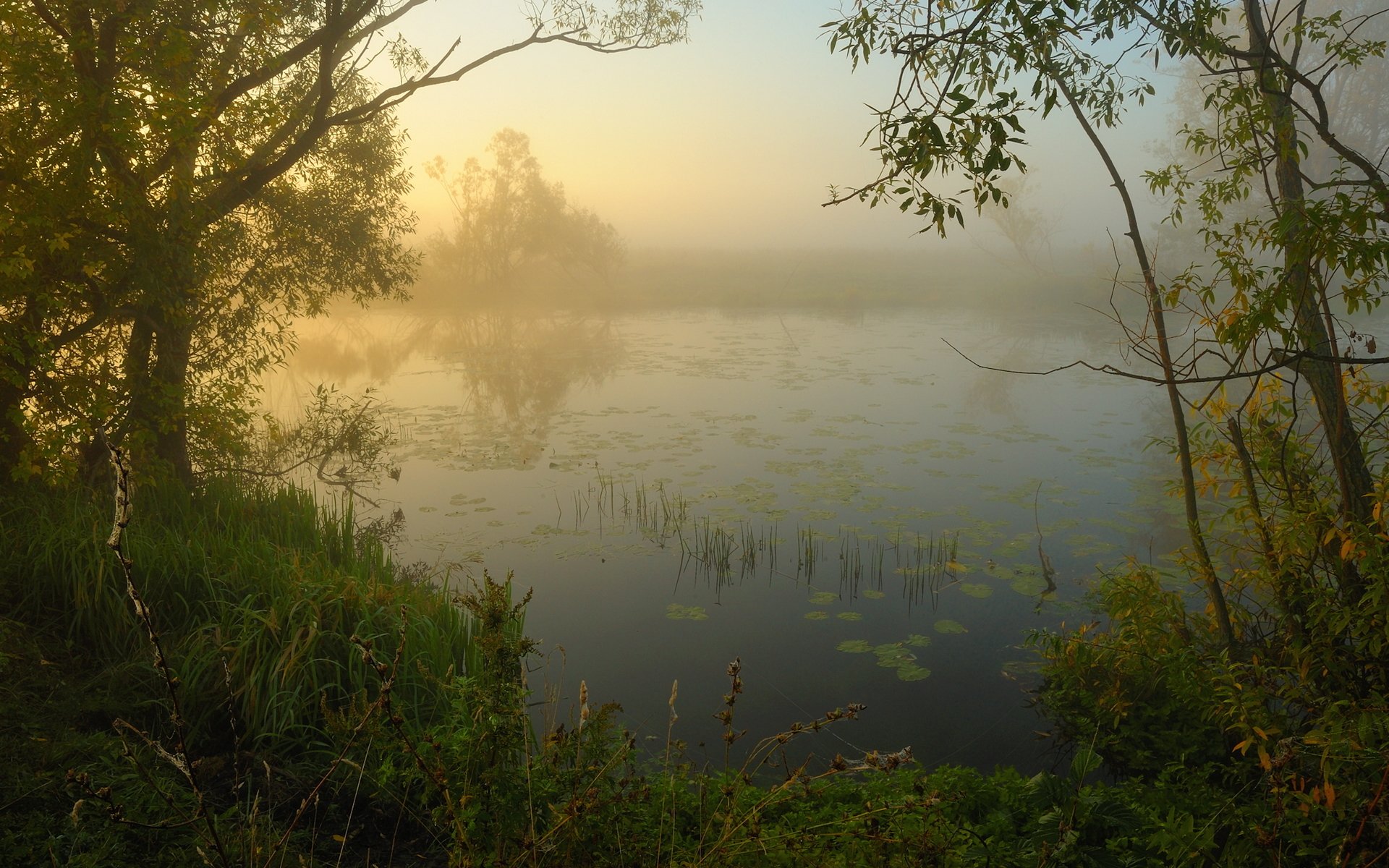 poranek rzeka mgła natura