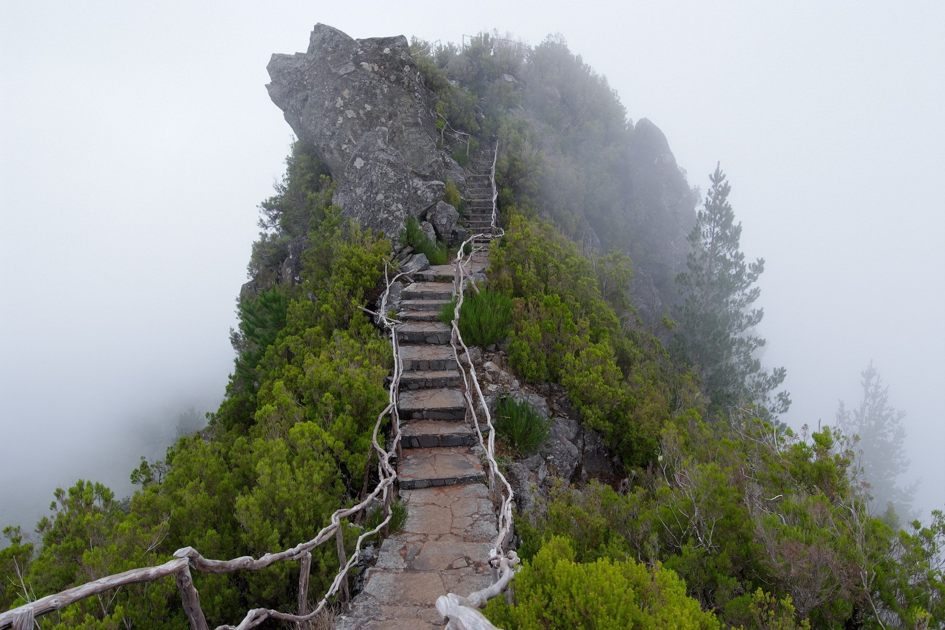 mountain fog stairs degree