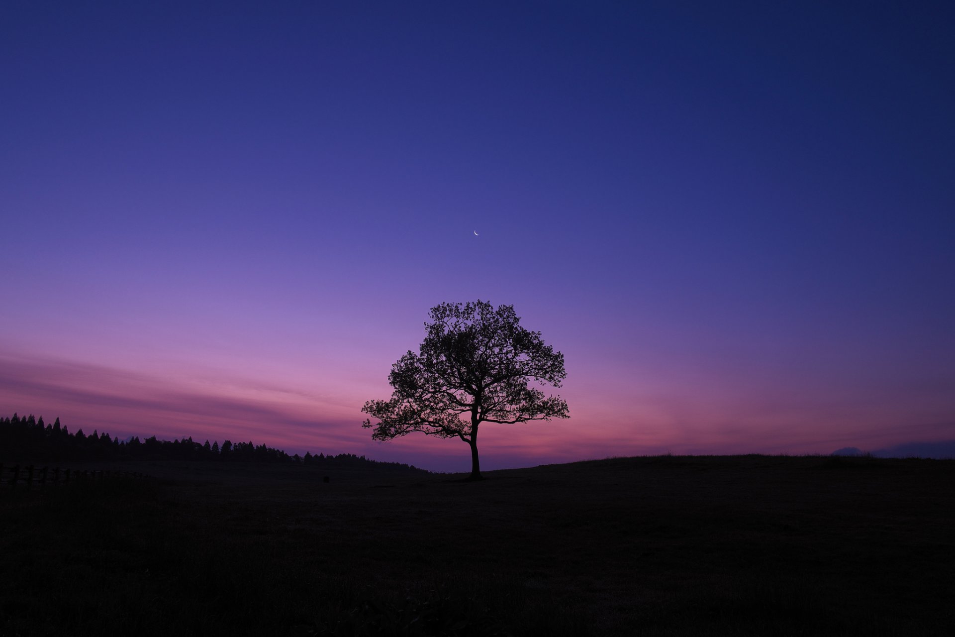 soirée ciel lune arbre x-pro1