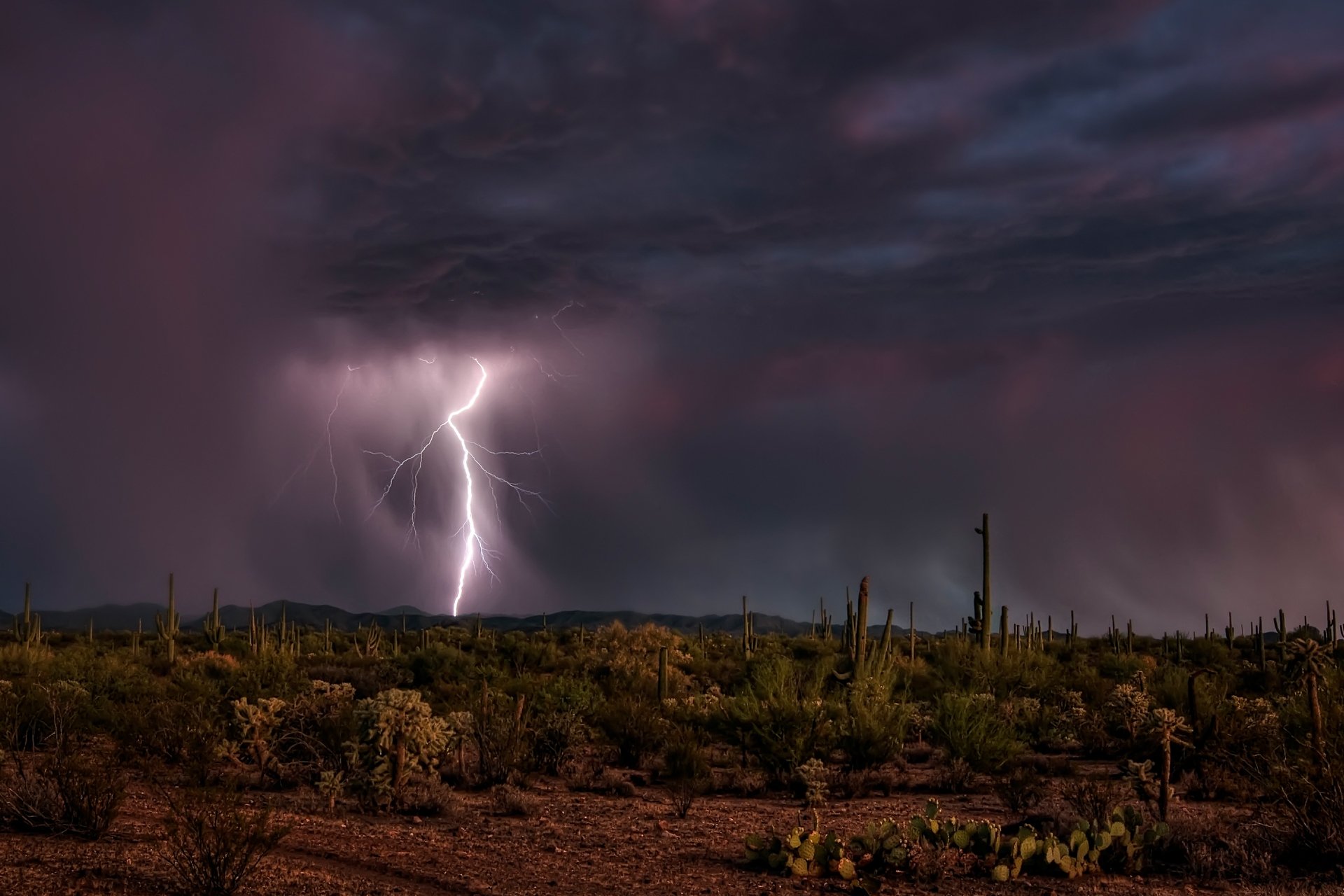 desierto cielo noche cactus relámpago