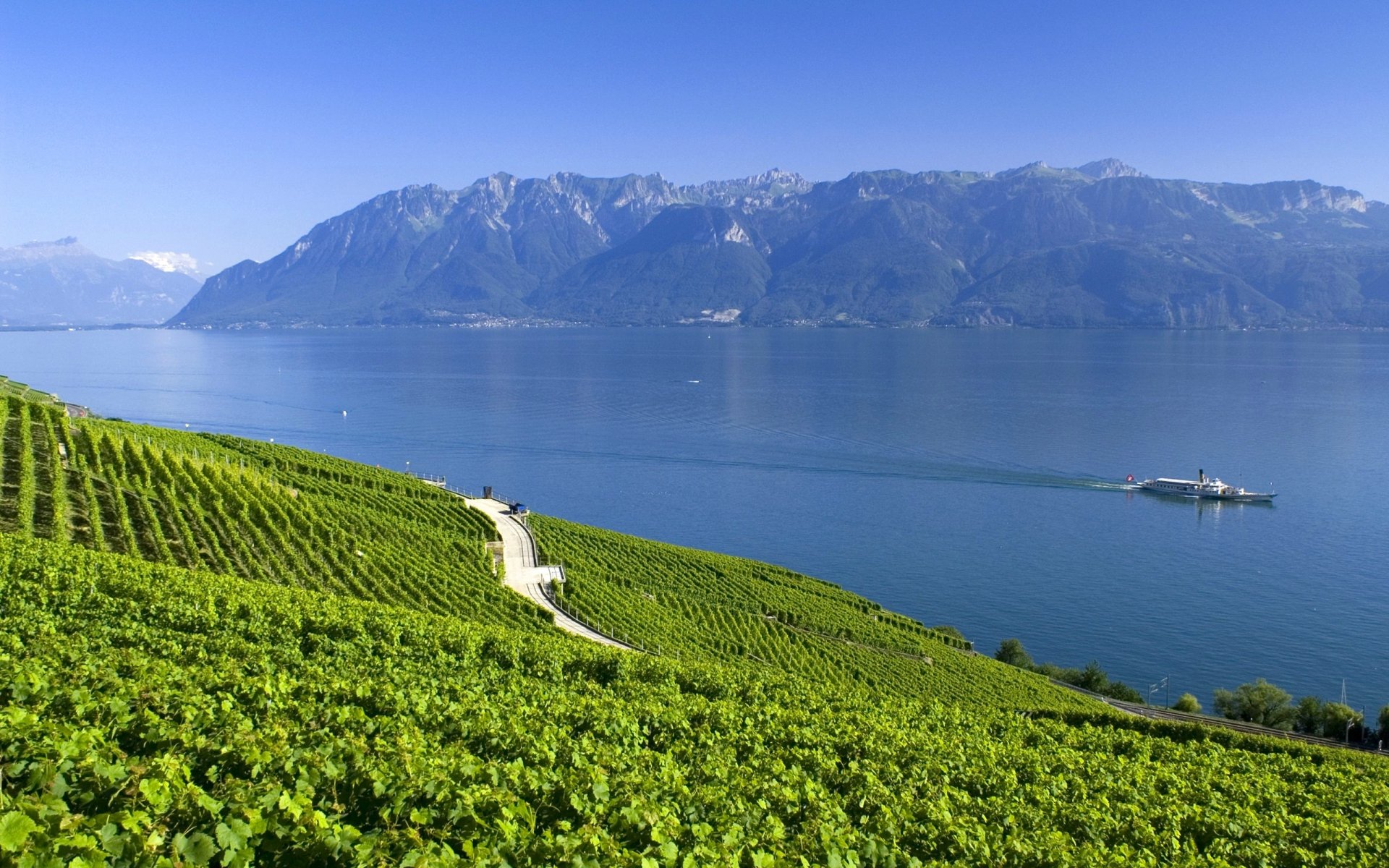 witzerland alps lake mountain summer