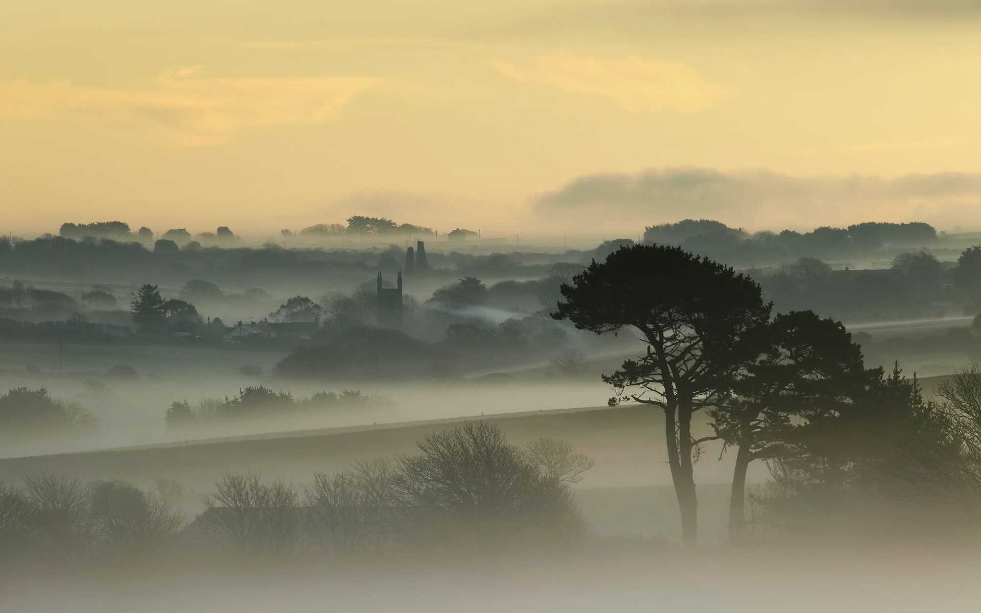 alba nebbia alberi case cielo cornovaglia inghilterra