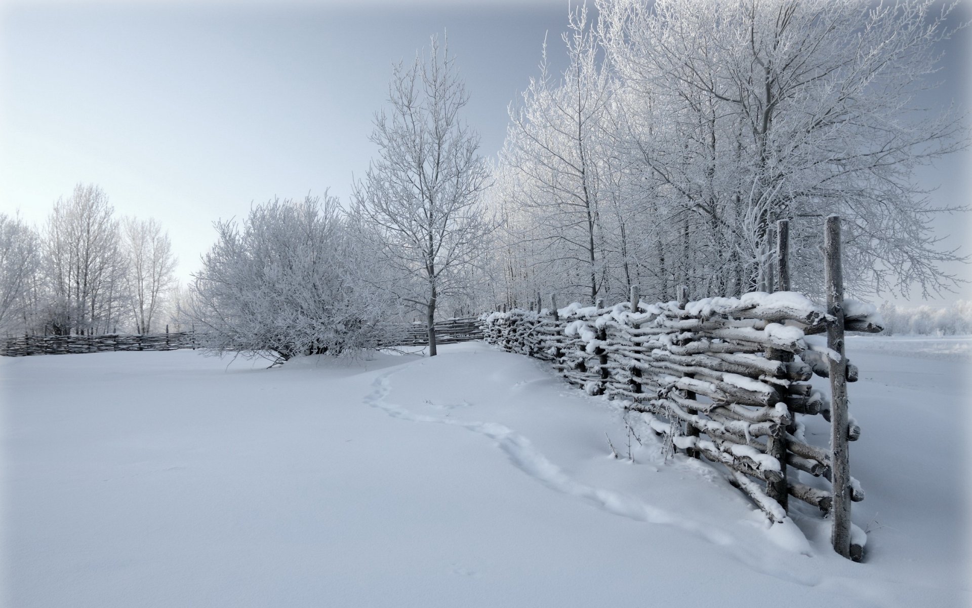 hiver clôture neige nature