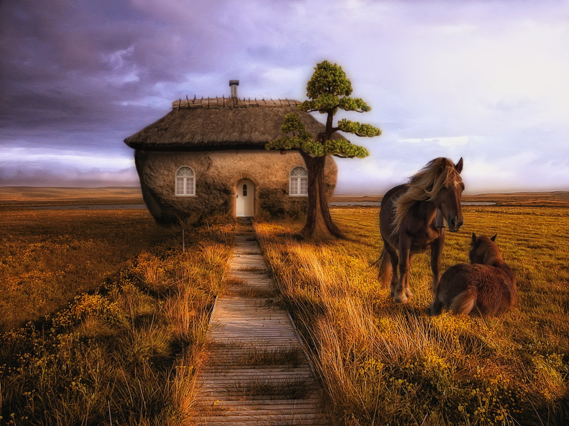 casa caballo caballo camino campo