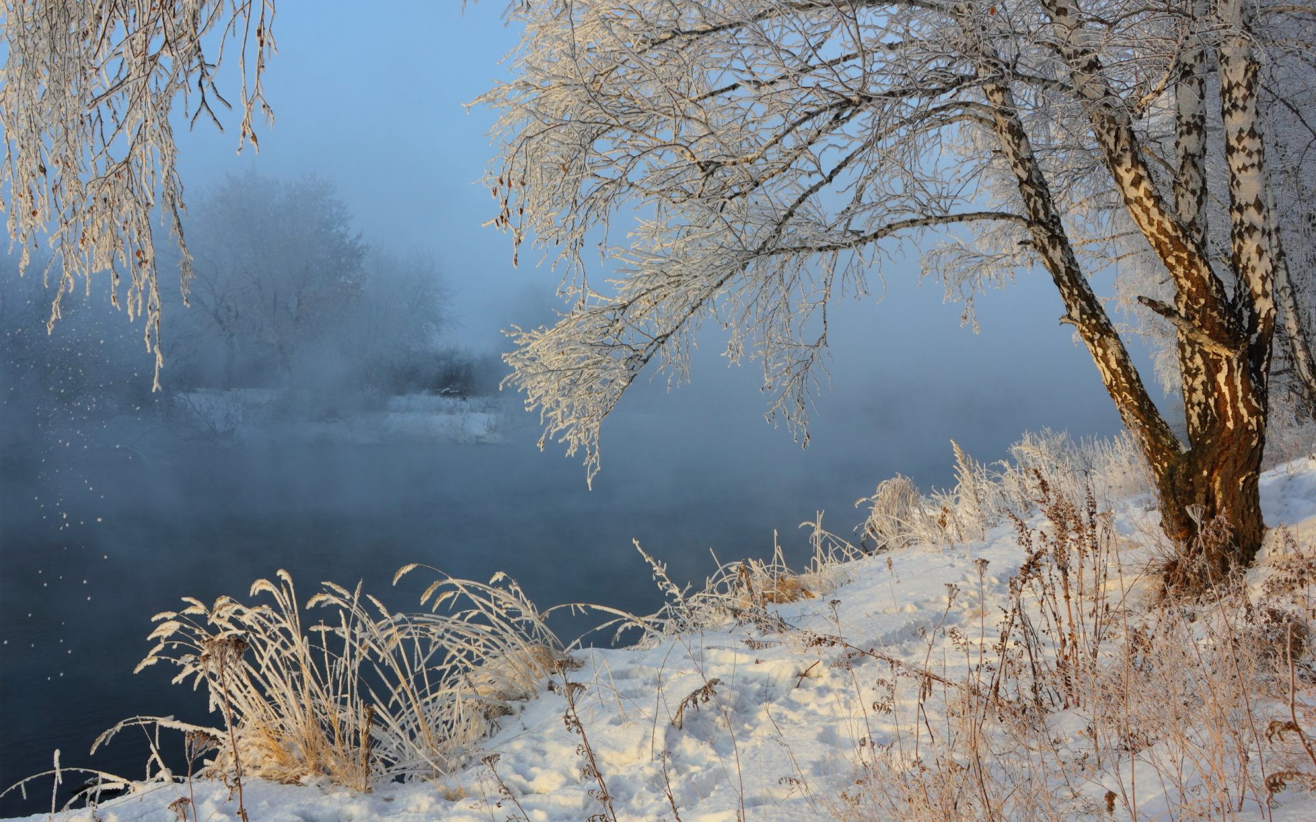 winter river snow fog nature landscape