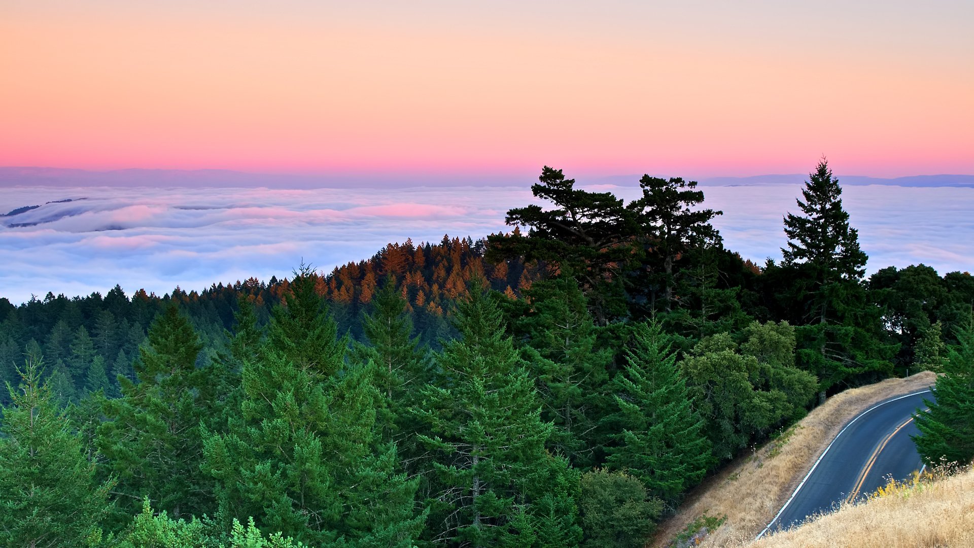 tramonto montagna strada abete rosso pino foresta baia pacifico oceano nuvole nebbia california