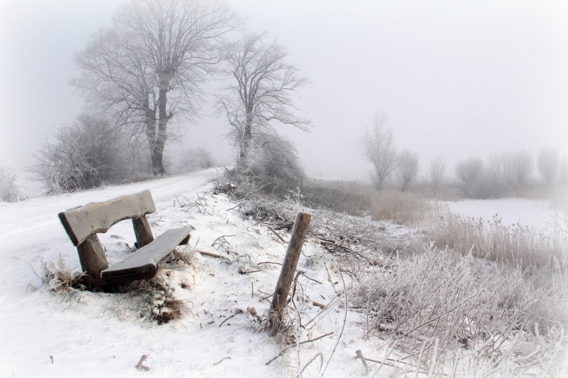 inverno neve nebbia panchina