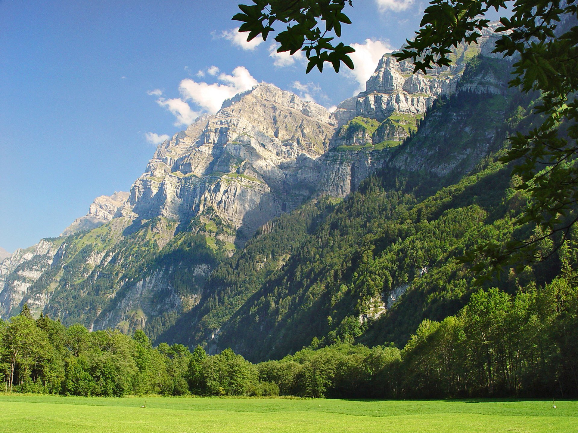 montagnes pré forêt ciel nuages