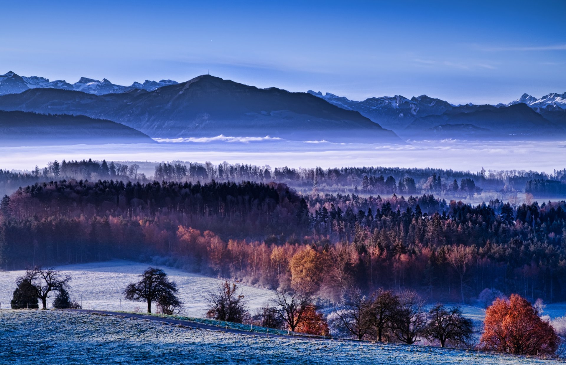 morning fog valley snow autumn winter