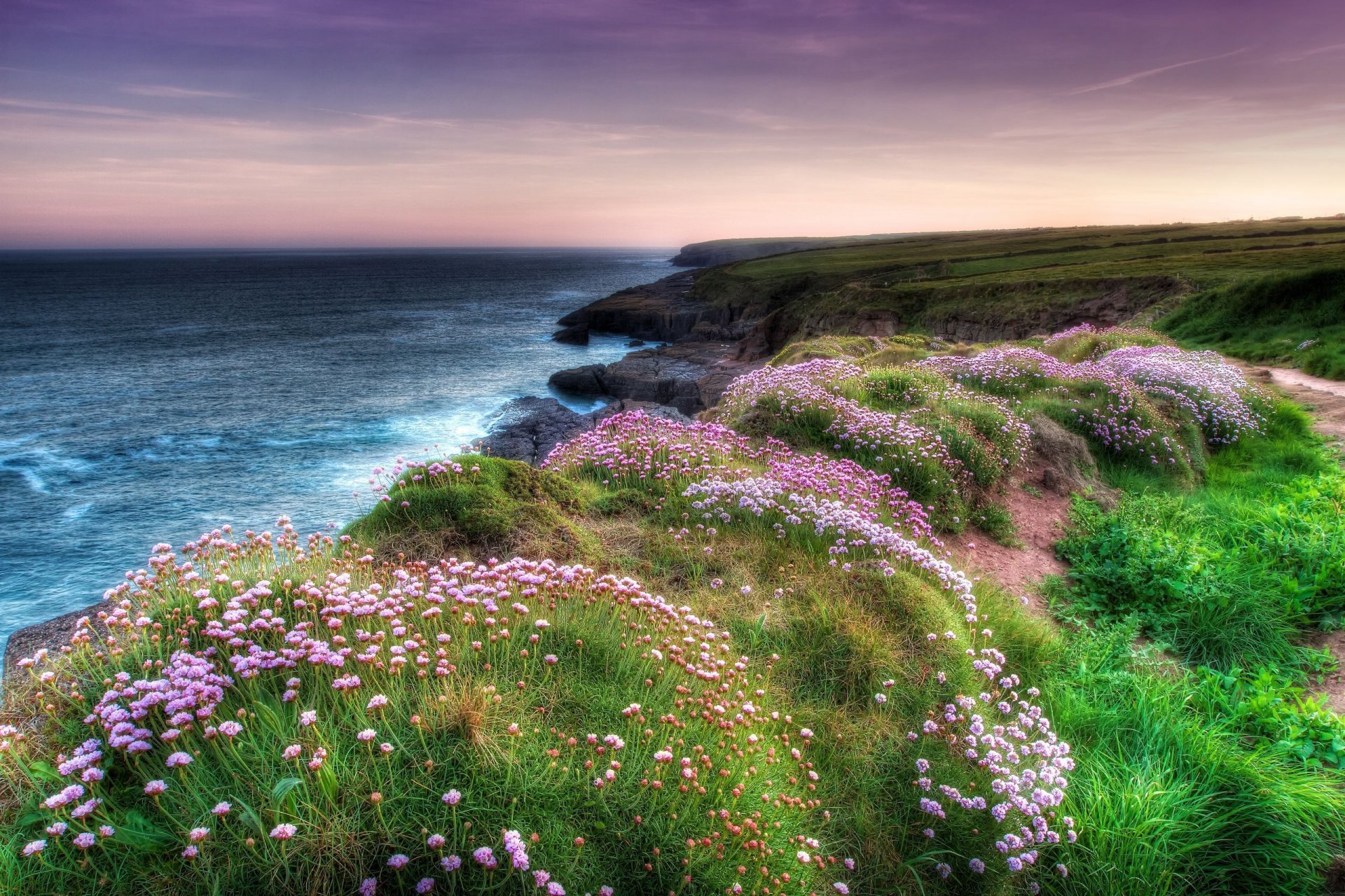 mare fiori costa natura