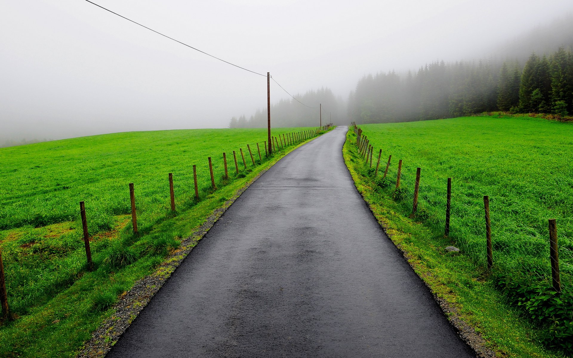 camino cerca campo niebla