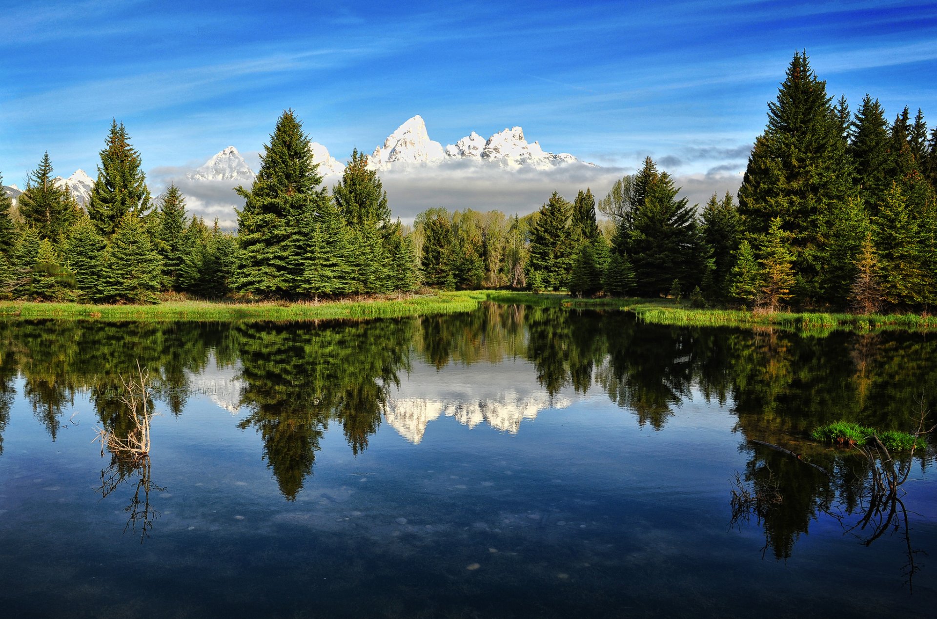 río montañas bosque estados unidos mañana cielo