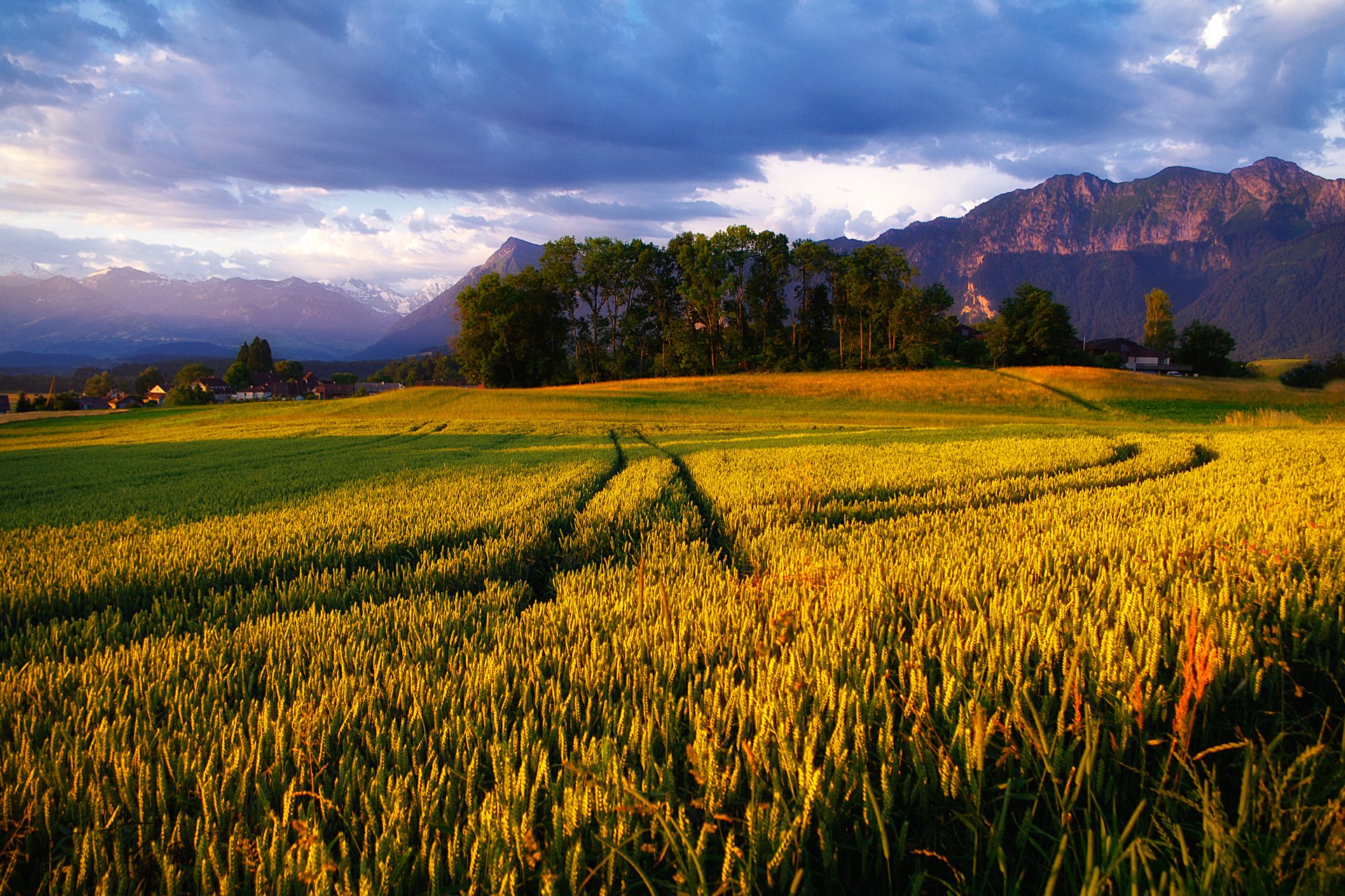 montagne alpi campo cielo