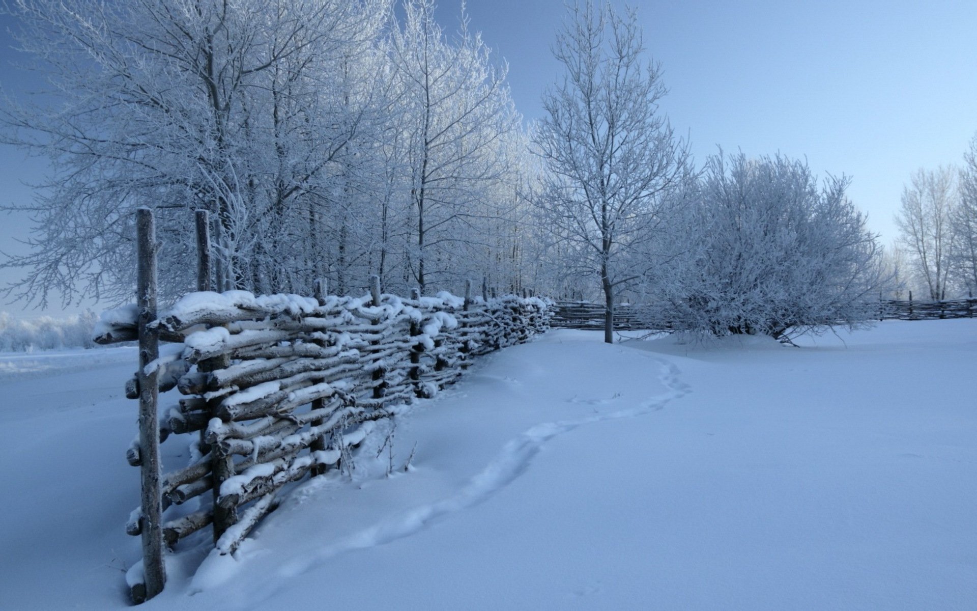 hiver neige clôture nature