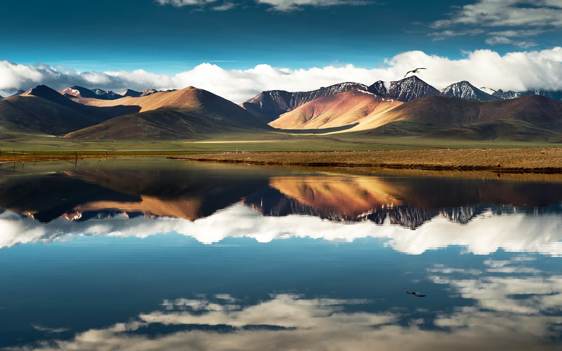 china tibet berge see himmel wolken reflexion vogel fliegen