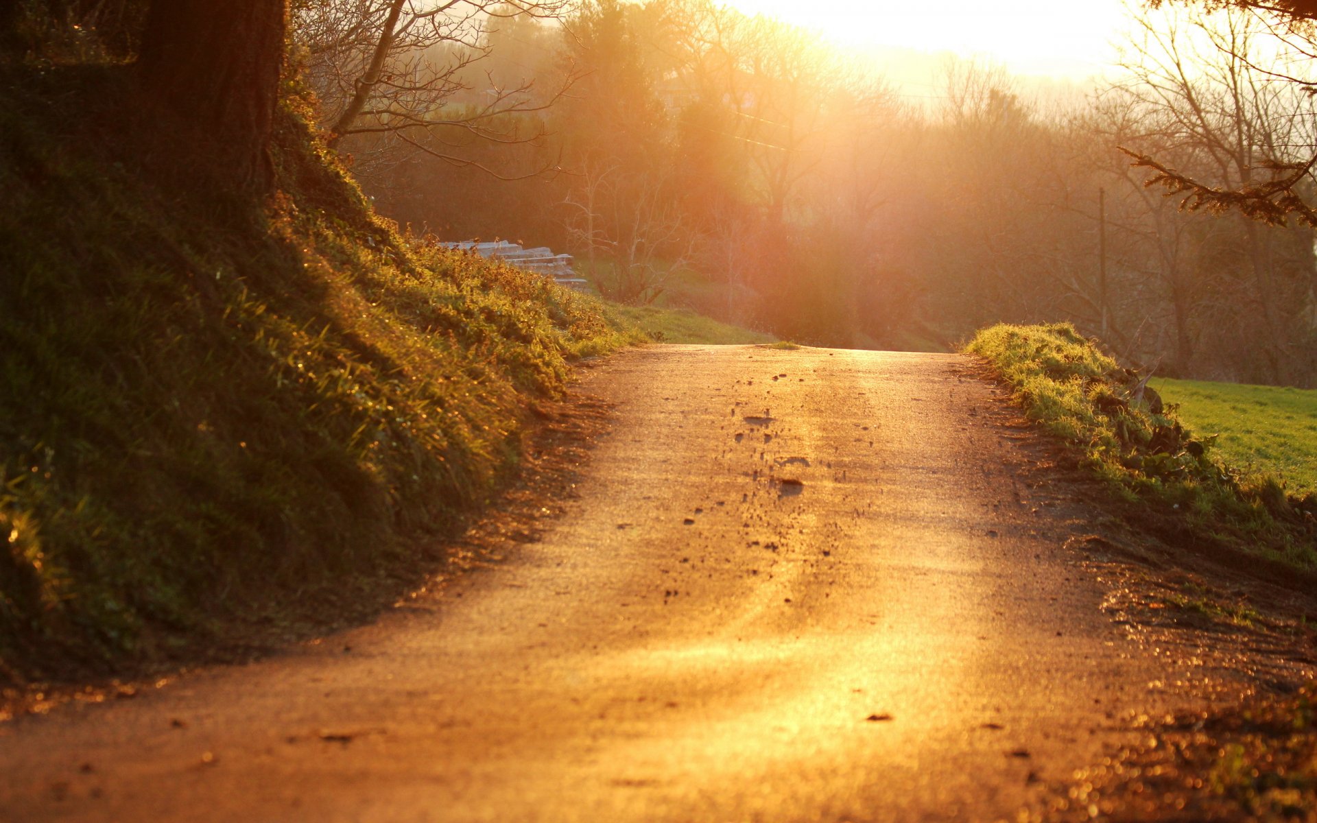 puesta de sol carretera paisaje