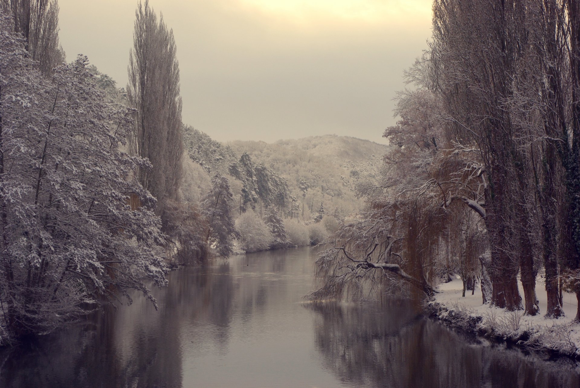 winter river water reservoir tree forest branch snow next cool nature